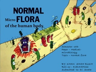 Micro
of the human body
Semester -6th
Paper – Medical-
microbiology
Topic – Normal flora
BY: KHAN SHAH RUKH
Roll no : 4181457022
Submitted to: Dr. Sweta
 