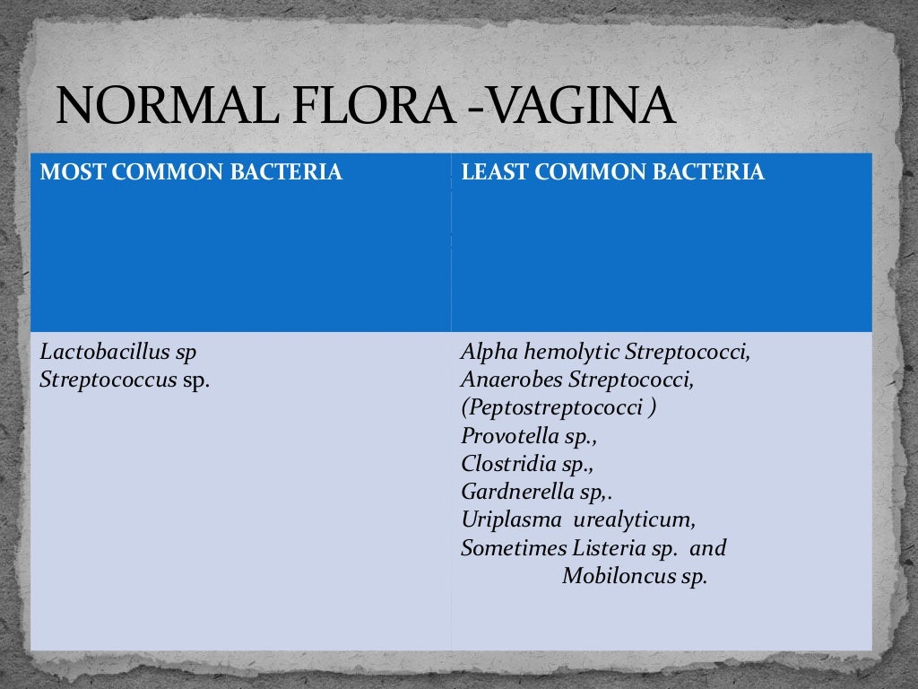 Normal microflora
