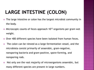 Normal microflora of human body | PPTX