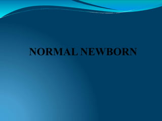 NORMAL NEWBORN
 
