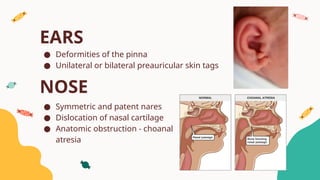 Normal Newborn, EINC and Kangaroo Mother care.pptx