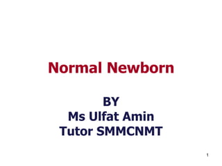 1
Normal Newborn
BY
Ms Ulfat Amin
Tutor SMMCNMT
 