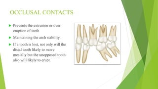 Normal occlusion.pptx