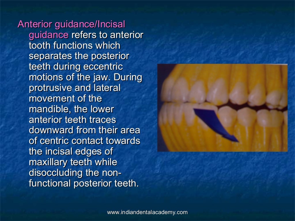Normal occlusion (2)