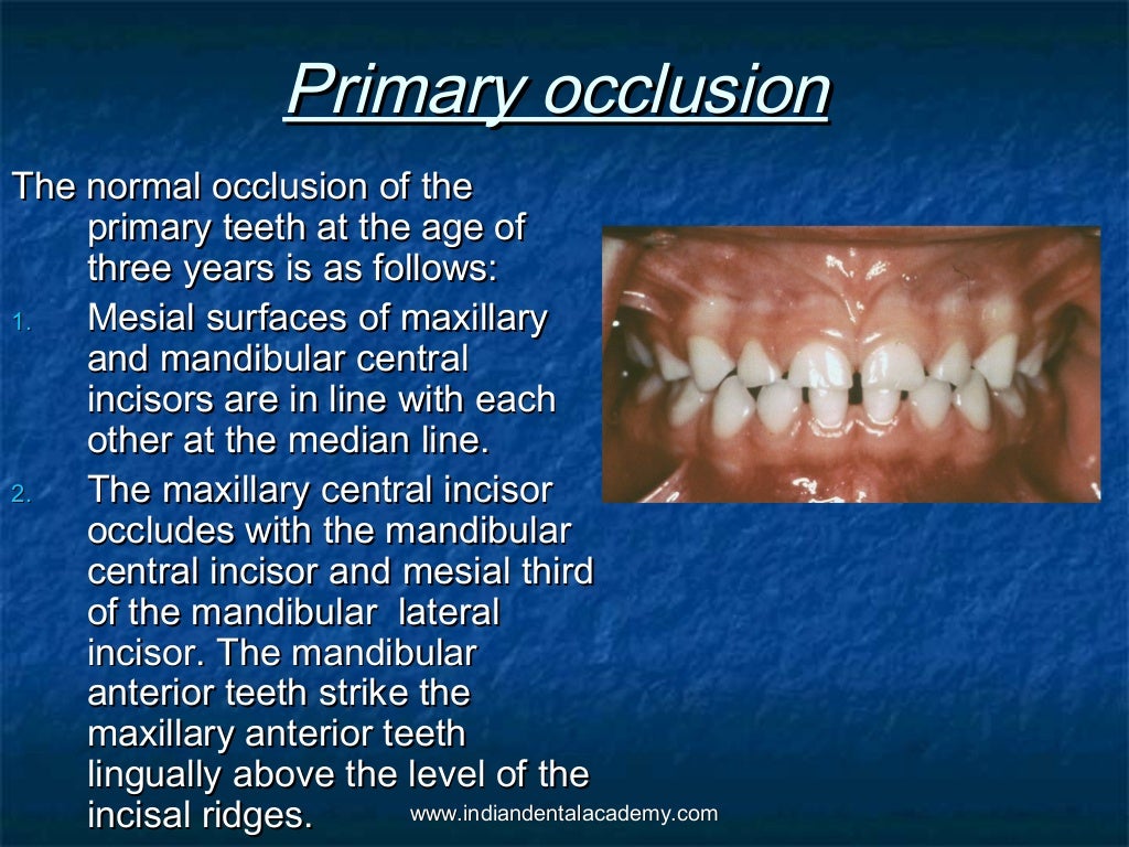 Normal occlusion (2)