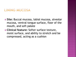 Normal oral mucosa.pdf. lecture oral medicine | PDF
