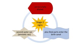 Stage 2
signs
cervix is fully
dilated.
plus fetal parts enter the
birth canal
second water sac
(amniotic sac)
 