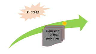 Expulsion
of fetal
membranes
3rd stage
 