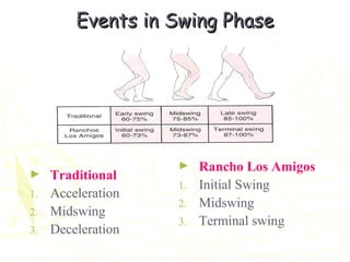 Events in Swing PhaseEvents in Swing Phase
► Traditional
1. Acceleration
2. Midswing
3. Deceleration
► Rancho Los Amigos
1. Initial Swing
2. Midswing
3. Terminal swing
 