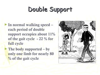 Double SupportDouble Support
► In normal walking speed –
each period of double
support occupies about 11%
of the gait cycle - 22 % for
full cycle
► The body supported – by
only one limb for nearly 80
% of the gait cycle
 