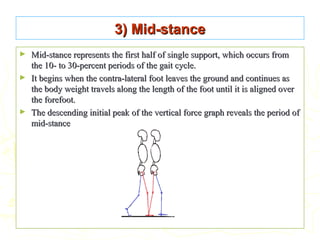 3) Mid-stance3) Mid-stance
► Mid-stance represents the first half of single support, which occurs fromMid-stance represents the first half of single support, which occurs from
the 10- to 30-percent periods of the gait cycle.the 10- to 30-percent periods of the gait cycle.
► It begins when the contra-lateral foot leaves the ground and continues asIt begins when the contra-lateral foot leaves the ground and continues as
the body weight travels along the length of the foot until it is aligned overthe body weight travels along the length of the foot until it is aligned over
the forefoot.the forefoot.
► The descending initial peak of the vertical force graph reveals the period ofThe descending initial peak of the vertical force graph reveals the period of
mid-stancemid-stance
 