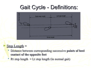 Gait Cycle - Definitions:Gait Cycle - Definitions:
► Step LengthStep Length ==
 Distance between corresponding successiveDistance between corresponding successive points of heelpoints of heel
contact of the opposite feetcontact of the opposite feet
 Rt step length = Lt step lengthRt step length = Lt step length (in normal gait)(in normal gait)
 