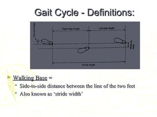 Gait Cycle - Definitions:Gait Cycle - Definitions:
► Walking BaseWalking Base ==
 Side-to-side distance between the line of the two feetSide-to-side distance between the line of the two feet
 Also known as ‘stride width’Also known as ‘stride width’
 