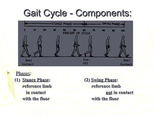 Gait Cycle - Components:Gait Cycle - Components:
► PhasesPhases::
(1)(1) Stance PhaseStance Phase:: (2)(2) Swing PhaseSwing Phase::
reference limbreference limb reference limbreference limb
in contactin contact notnot in contactin contact
with the floorwith the floor with the floorwith the floor
 