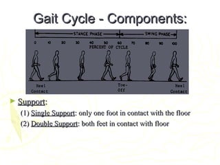 Gait Cycle - Components:Gait Cycle - Components:
► SupportSupport::
(1)(1) Single SupportSingle Support: only one foot in contact with the floor: only one foot in contact with the floor
(2)(2) Double SupportDouble Support: both feet in contact with floor: both feet in contact with floor
 