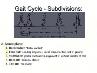 Gait Cycle - Subdivisions:Gait Cycle - Subdivisions:
A.A. Stance phase:Stance phase:
1.1. Heel contactHeel contact:: ‘Initial contact’‘Initial contact’
2.2. Foot-flatFoot-flat:: ‘Loading response’, initial contact of forefoot w. ground‘Loading response’, initial contact of forefoot w. ground
3.3. MidstanceMidstance:: greater trochanter in alignment w. vertical bisector of footgreater trochanter in alignment w. vertical bisector of foot
4.4. Heel-offHeel-off:: ‘Terminal stance’‘Terminal stance’
5.5. Toe-offToe-off:: ‘Pre-swing’‘Pre-swing’
 