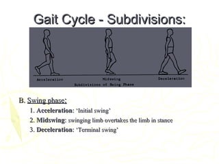 Gait Cycle - Subdivisions:Gait Cycle - Subdivisions:
B.B. Swing phaseSwing phase::
1.1. AccelerationAcceleration:: ‘Initial swing’‘Initial swing’
2.2. MidswingMidswing:: swinging limb overtakes the limb in stanceswinging limb overtakes the limb in stance
3.3. DecelerationDeceleration:: ‘Terminal swing’‘Terminal swing’
 