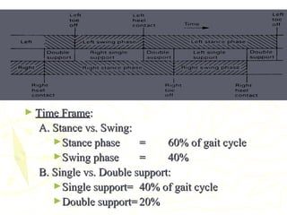 ► Time FrameTime Frame::
A. Stance vs. Swing:A. Stance vs. Swing:
►Stance phaseStance phase == 60% of gait cycle60% of gait cycle
►Swing phaseSwing phase == 40%40%
B. Single vs. Double support:B. Single vs. Double support:
►Single support=Single support= 40% of gait cycle40% of gait cycle
►Double support=Double support= 20%20%
 