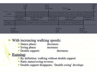 ► With increasing walking speeds:With increasing walking speeds:
►Stance phase:Stance phase: decreasesdecreases
►Swing phase:Swing phase: increasesincreases
►Double support:Double support: decreasesdecreases
► RunningRunning::
►By definition: walking without double supportBy definition: walking without double support
►Ratio stance/swing reversesRatio stance/swing reverses
►Double support disappears. ‘Double swing’ developsDouble support disappears. ‘Double swing’ develops
 