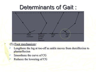 Determinants of Gait :Determinants of Gait :
 (5)(5) Foot mechanismFoot mechanism::
 Lengthens the leg at toe-off as ankle moves from dorsiflexion toLengthens the leg at toe-off as ankle moves from dorsiflexion to
plantarflexionplantarflexion
 Smoothens the curve of CGSmoothens the curve of CG
 Reduces the lowering of CGReduces the lowering of CG
 