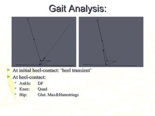 Gait Analysis:Gait Analysis:
► At initial heel-contact: ‘heel transient’At initial heel-contact: ‘heel transient’
► At heel-contact:At heel-contact:
 Ankle:Ankle: DFDF
 Knee:Knee: QuadQuad
 Hip:Hip: Glut. Max&HamstringsGlut. Max&Hamstrings
 