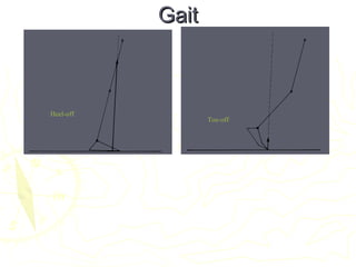 GaitGait
Initial HC
‘Heel transient’
HC
Heel-off
Toe-off
 