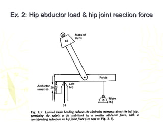 Ex. 2: Hip abductor load & hip joint reaction forceEx. 2: Hip abductor load & hip joint reaction force
 