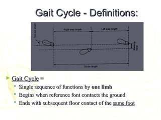 Gait Cycle - Definitions:Gait Cycle - Definitions:
► Gait CycleGait Cycle ==
 Single sequence of functions bySingle sequence of functions by one limbone limb
 Begins when reference font contacts the groundBegins when reference font contacts the ground
 Ends with subsequent floor contact of theEnds with subsequent floor contact of the same footsame foot
 