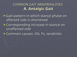 Unaffected Side Normal_Pathological_Gait in humans power | PPT