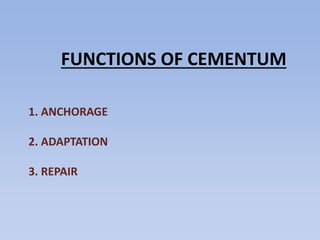 1. ANCHORAGE
2. ADAPTATION
3. REPAIR
FUNCTIONS OF CEMENTUM
 