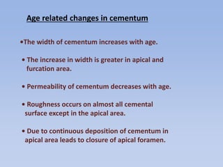•The width of cementum increases with age.
• The increase in width is greater in apical and
furcation area.
• Permeability of cementum decreases with age.
• Roughness occurs on almost all cemental
surface except in the apical area.
• Due to continuous deposition of cementum in
apical area leads to closure of apical foramen.
Age related changes in cementum
 