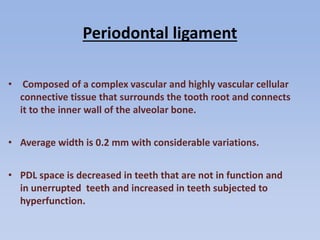 Periodontal ligament
• Composed of a complex vascular and highly vascular cellular
connective tissue that surrounds the tooth root and connects
it to the inner wall of the alveolar bone.
• Average width is 0.2 mm with considerable variations.
• PDL space is decreased in teeth that are not in function and
in unerrupted teeth and increased in teeth subjected to
hyperfunction.
 