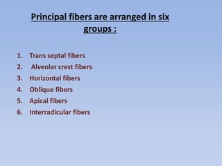 Principal fibers are arranged in six
groups :
1. Trans septal fibers
2. Alveolar crest fibers
3. Horizontal fibers
4. Oblique fibers
5. Apical fibers
6. Interradicular fibers
 