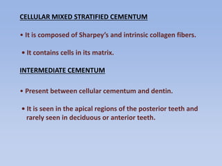 CELLULAR MIXED STRATIFIED CEMENTUM
• It is composed of Sharpey’s and intrinsic collagen fibers.
• It contains cells in its matrix.
INTERMEDIATE CEMENTUM
• Present between cellular cementum and dentin.
• It is seen in the apical regions of the posterior teeth and
rarely seen in deciduous or anterior teeth.
 