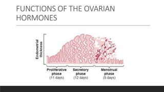 Normal physiology of female reproductive system | PPTX