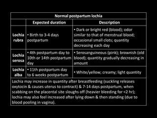 Normal postpartum lochia
Expected duration Description
Lochia
rubra
• Birth to 3-4 days
postpartum
• Dark or bright red (blood); odor
similar to that of menstrual blood;
occasional small clots; quantity
decreasing each day
Lochia
serosa
• 4th postpartum day to
10th or 14th postpartum
day
• Serosanguineous (pink); brownish (old
blood); quantity gradually decreasing in
amount
Lochia
alba
• 11th postpartum day
to 6 weeks postpartum
• White/yellow; creamy; light quantity
Lochia may increase in quantity after breastfeeding (suckling releases
oxytocin & causes uterus to contract) & 7-14 days postpartum, when
scabbing on the placental site sloughs off (heavier bleeding for <2 hr);
lochia may also feel increased after lying down & then standing (due to
blood pooling in vagina).
 