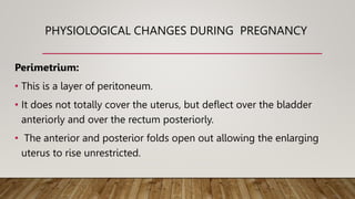 PHYSIOLOGICAL CHANGES DURING PREGNANCY
Perimetrium:
• This is a layer of peritoneum.
• It does not totally cover the uterus, but deflect over the bladder
anteriorly and over the rectum posteriorly.
• The anterior and posterior folds open out allowing the enlarging
uterus to rise unrestricted.
 