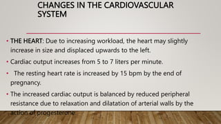 CHANGES IN THE CARDIOVASCULAR
SYSTEM
• THE HEART: Due to increasing workload, the heart may slightly
increase in size and displaced upwards to the left.
• Cardiac output increases from 5 to 7 liters per minute.
• The resting heart rate is increased by 15 bpm by the end of
pregnancy.
• The increased cardiac output is balanced by reduced peripheral
resistance due to relaxation and dilatation of arterial walls by the
action of progesterone.
 