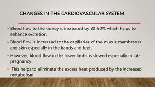 CHANGES IN THE CARDIOVASCULAR SYSTEM
• Blood flow to the kidney is increased by 30-50% which helps to
enhance excretion.
• Blood flow is increased to the capillaries of the mucus membranes
and skin especially in the hands and feet.
• However, blood flow in the lower limbs is slowed especially in late
pregnancy.
• This helps to eliminate the excess heat produced by the increased
metabolism.
•
 
