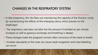 CHANGES IN THE RESPIRATORY SYSTEM
• In late pregnancy, the ribs flare out maintaining the capacity of the thoracic cavity
by counteracting the effects of the enlarging uterus which presses on the
diaphragm.
• The respiratory rate does not alter but the amount of exhaled air per minute
increases as well as gaseous exchange and breathing is deeper.
• These changes make the pregnant woman often conscious of the need to breath.
• Increase vascularity to the nose can cause nasal congestion and nose bleeding
can occur.
 