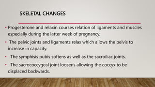 SKELETAL CHANGES
• Progesterone and relaxin courses relation of ligaments and muscles
especially during the latter week of pregnancy.
• The pelvic joints and ligaments relax which allows the pelvis to
increase in capacity.
• The symphisis pubis softens as well as the sacroiliac joints.
• The sacrococcygeal joint loosens allowing the coccyx to be
displaced backwards.
 
