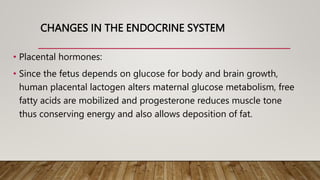 CHANGES IN THE ENDOCRINE SYSTEM
• Placental hormones:
• Since the fetus depends on glucose for body and brain growth,
human placental lactogen alters maternal glucose metabolism, free
fatty acids are mobilized and progesterone reduces muscle tone
thus conserving energy and also allows deposition of fat.
 