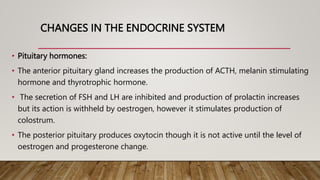 CHANGES IN THE ENDOCRINE SYSTEM
• Pituitary hormones:
• The anterior pituitary gland increases the production of ACTH, melanin stimulating
hormone and thyrotrophic hormone.
• The secretion of FSH and LH are inhibited and production of prolactin increases
but its action is withheld by oestrogen, however it stimulates production of
colostrum.
• The posterior pituitary produces oxytocin though it is not active until the level of
oestrogen and progesterone change.
 