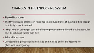 CHANGES IN THE ENDOCRINE SYSTEM
• Thyroid hormones:
• The thyroid gland enlarges in response to a reduced level of plasma iodine though
its activity is not increased.
• High level of oestrogen cause the liver to produce more thyroid binding globulin
thus T4 is bound rather than free.
• Adrenal hormones:
• Corticosteroid production is increased and may be one of the reasons for
glycosuria in pregnancy.
 