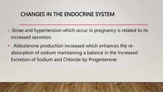 CHANGES IN THE ENDOCRINE SYSTEM
• Striae and hypertension which occur in pregnancy is related to its
increased secretion.
• Aldosterone production increased which enhances the re-
absorption of sodium maintaining a balance in the Increased
Excretion of Sodium and Chloride by Progesterone.
 