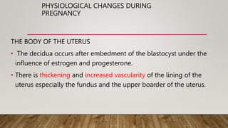 PHYSIOLOGICAL CHANGES DURING
PREGNANCY
THE BODY OF THE UTERUS
• The decidua occurs after embedment of the blastocyst under the
influence of estrogen and progesterone.
• There is thickening and increased vascularity of the lining of the
uterus especially the fundus and the upper boarder of the uterus.
 
