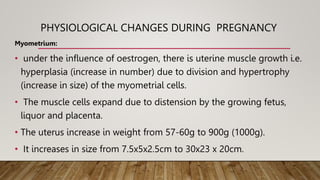 PHYSIOLOGICAL CHANGES DURING PREGNANCY
Myometrium:
• under the influence of oestrogen, there is uterine muscle growth i.e.
hyperplasia (increase in number) due to division and hypertrophy
(increase in size) of the myometrial cells.
• The muscle cells expand due to distension by the growing fetus,
liquor and placenta.
• The uterus increase in weight from 57-60g to 900g (1000g).
• It increases in size from 7.5x5x2.5cm to 30x23 x 20cm.
 