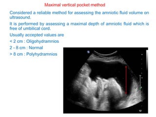 Phelan Normal Normal Pregnancy Ultrasound- signs of yearly pregnancy , 2 and 3 ...