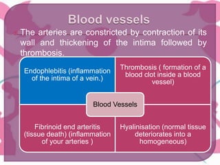  The arteries are constricted by contraction of its
wall and thickening of the intima followed by
thrombosis.
Endophlebitis (inflammation
of the intima of a vein.)
Thrombosis ( formation of a
blood clot inside a blood
vessel)
Fibrinoid end arteritis
(tissue death) (inflammation
of your arteries )
Hyalinisation (normal tissue
deteriorates into a
homogeneous)
Blood Vessels
 