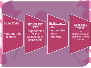 By the 7th day
• regeneratio
n starts
By the 10th
day
Regeneration
of the
epithelium is
completed.
By the day 16
• the
endometriu
m is
restored
At about 6
weeks
the
endometrium of
placental site is
restored
 